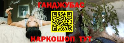 эйфоретик Малгобек