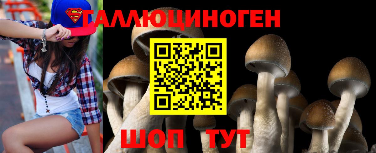 Галлюциногенные грибы Cubensis Северск