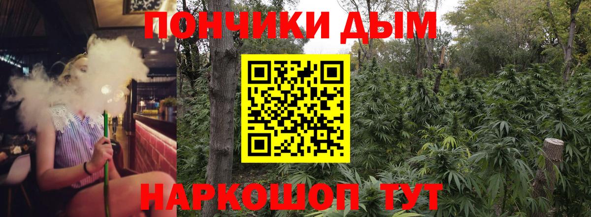 Северск  Канабис Bruce Banner  Бошки марихуана планчик  Вход с VPN  Конопля Bruce Banner  Конопля SATIVA & INDICA 